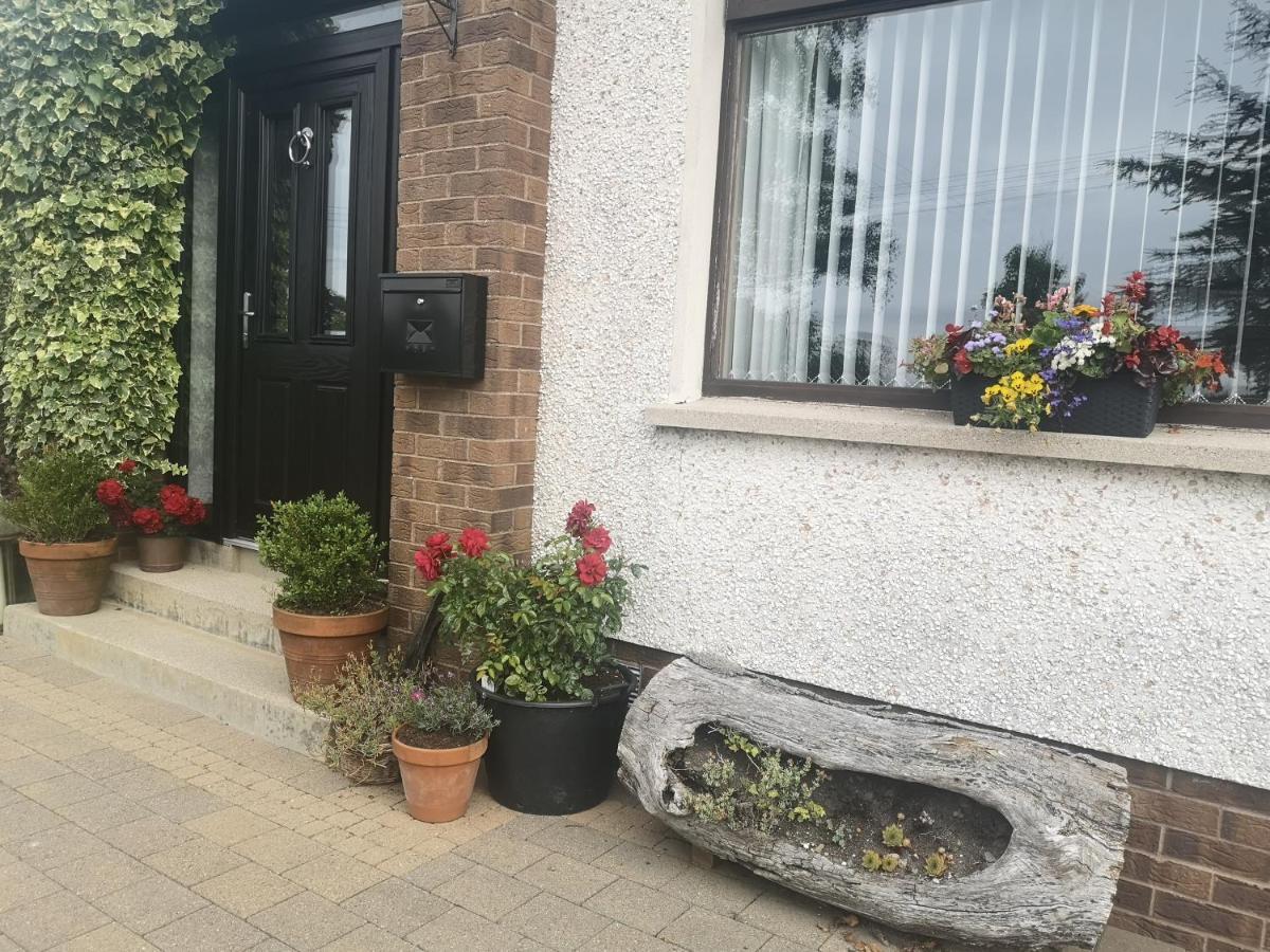 Barnescroft Ξενοδοχείο Kilkeel Εξωτερικό φωτογραφία